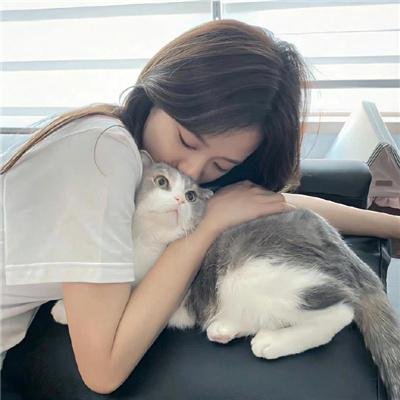 欺细金融案