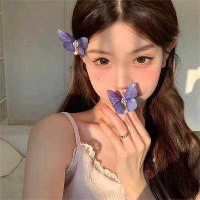 顽皮豹之子